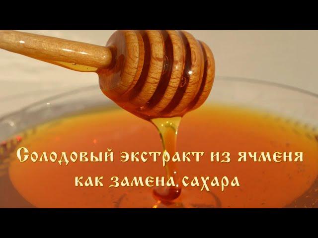 Солодовый экстракт как полезная замена сахара