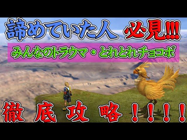 【FF10リマスター】とれとれチョコボ 0秒達成のコツ！！１１の成功パターンをもとに超徹底攻略！！諦めていた人必見！！【FF10HD】【FINAL FANTASY X HD Remaster】【実況】