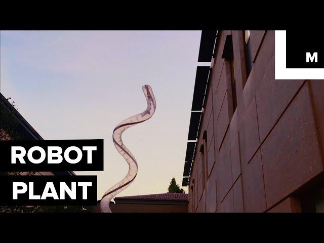 Robot plant