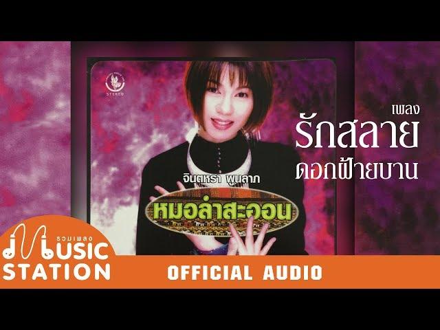 รักสลายดอกฝ้ายบาน - จินตหรา พูนลาภ【OFFICIAL AUDIO】