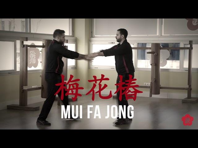 Wing Chun -  Ving Tsun -  Wing Tsun Kung Fu