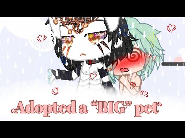 ”My big pet?!” GCMM//BL 13+//part1// repost️