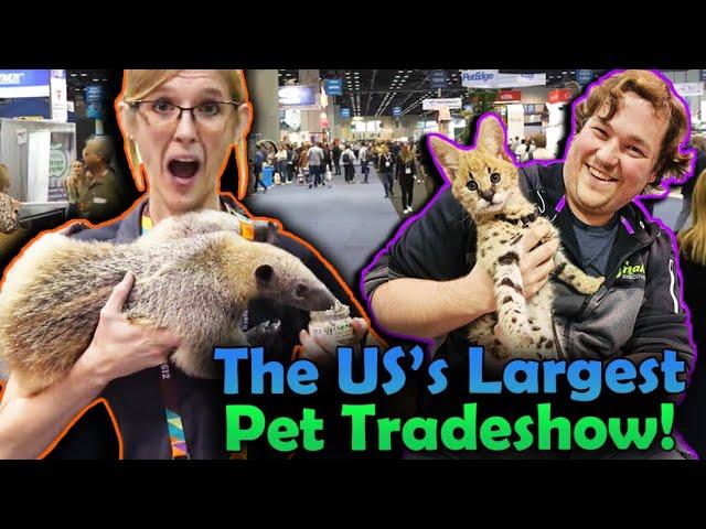 We went to the Global Pet Expo!