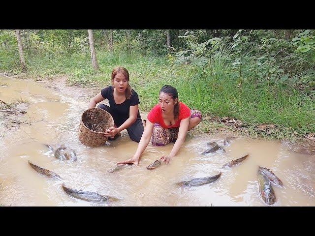 Catch fish in the rainforest, Cooking fish with chili sauce for food in forest