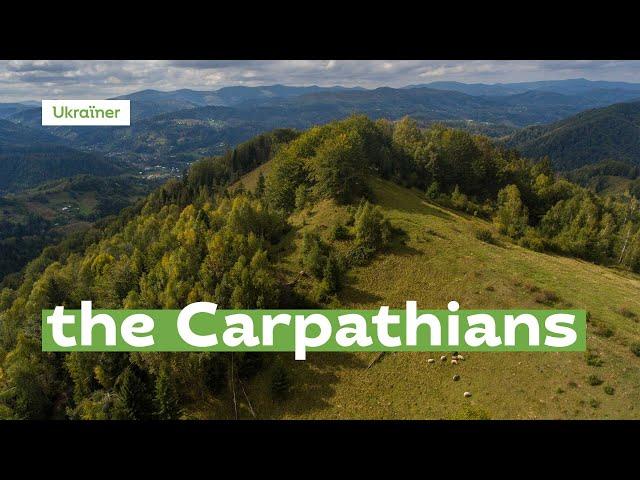 The Carpathians from above · Ukraїner