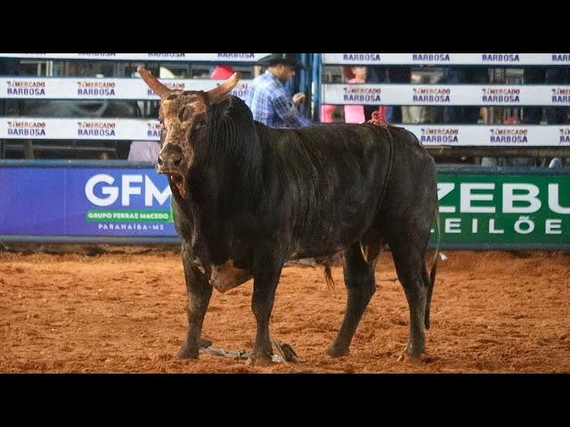 MELHORES MONTARIAS | QUINTA FEIRA - ENCONTRO DE COWBOYS 2024