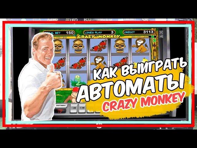 Как выиграть в игровые автоматы Crazy monkey