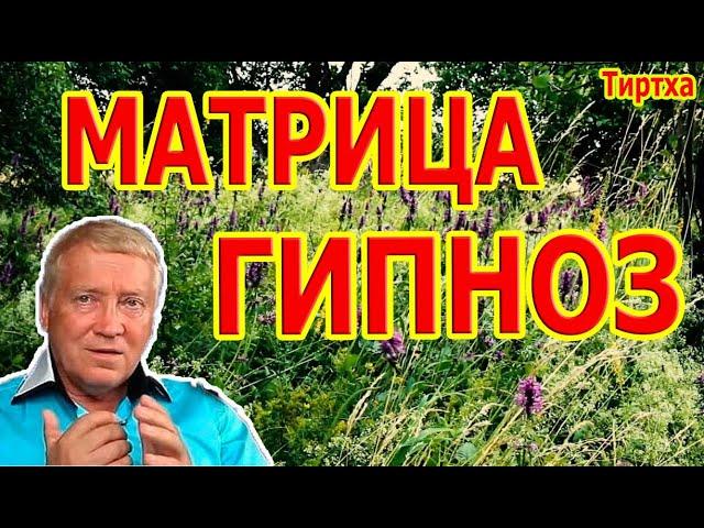 Сильнейший Гипноз Матрица ️ Регенерация и Восстановление Всех Органов