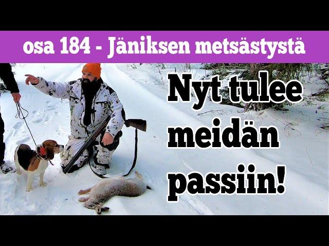 Osa 184 - Jäniksen ja rusakon metsästystä - 2021/2022