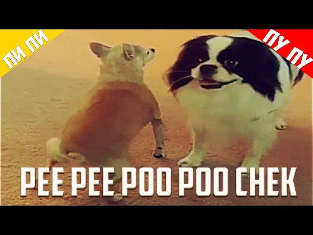 PEE PEE POO POO CHEK | ПИ ПИ ПУ ПУ ЧЕК (КЛИП)