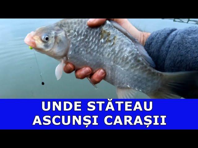 PESCUIT LA CARAS-DUNĂREA M-A RĂSPLĂTIT