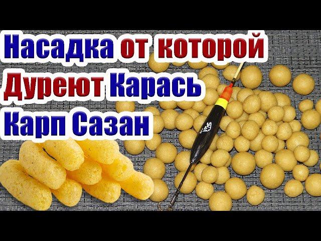 Самая Уловистая Насадка на Карася. Карась Карп Сазан Рыболовная насадка для Карася