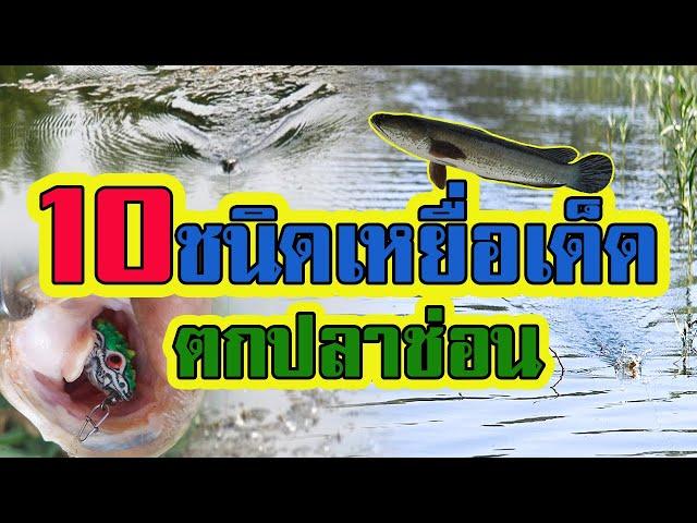 10 อันดับ | เหยื่อปลอมเด็ดๆ | ตกปลาช่อน