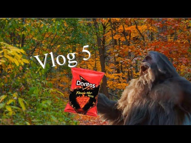 FSI Part 5: Sasquatch And Hot Chips