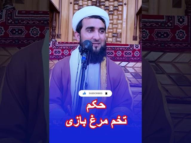 آیا تخم مرغ بازی گناه دارد و حکم آن چیست؟ #تخم_مرغ #بازی #گیم #مفتی_احمد_فیروز_احمدی