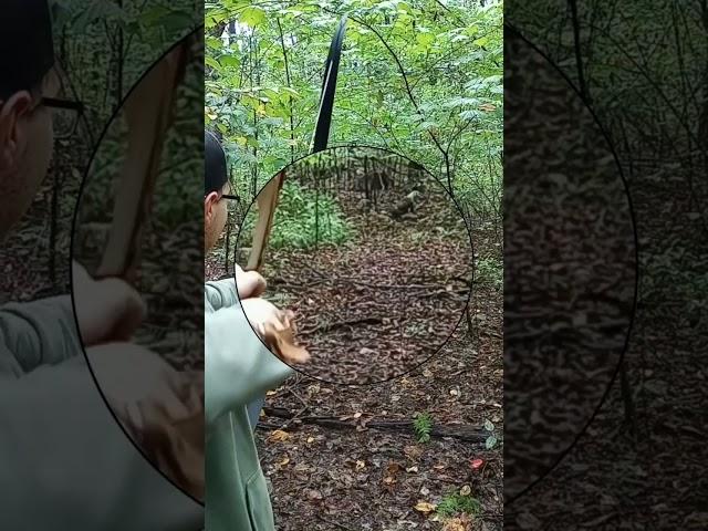 #shortsvideo #shorts #fail #traditionalarchery #traditional #tradbow #reels #bowhunter #life #new