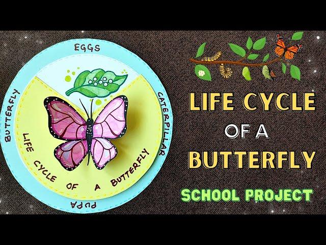  Life Cycle of a Butterfly Model  School Science Project /Assignment/ Craft Ideas #schoolcrafts