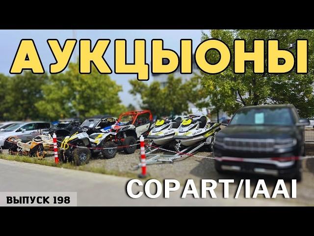 Сток ХАЙФА из Европы! Новые машины в наличии! Аукционы США и Канады! #mastervadya #automobile #top