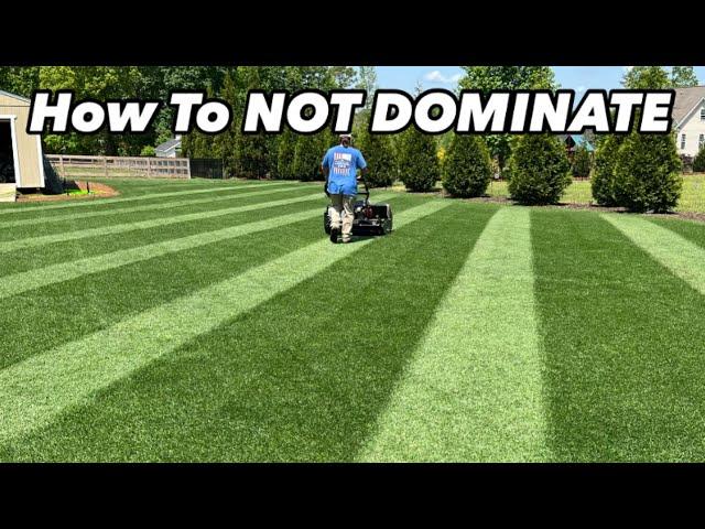 How To NOT Start Lawn Care and DOMINATE Your Neighbors