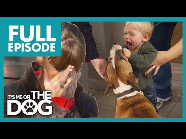 Victoria Shocked by Family Abusing their Dog! | Full Episode | It's Me or The Dog