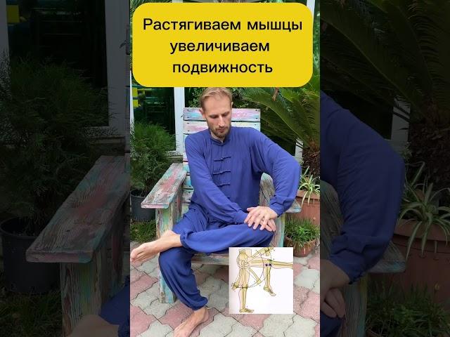 ЗОЖники Свобода Движений: Убираем Застой в Малом Тазу! #зож #упражнения #утренняязарядка #спорт
