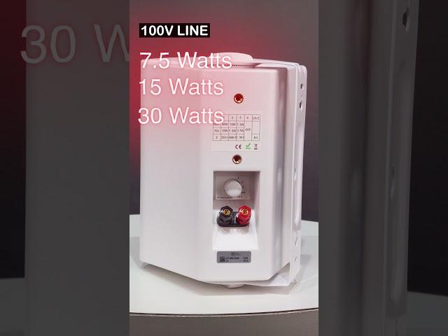 ATI WS-530W | Wall Mount Loud Speaker with Deep Bass & Crisp Treble | 30W Power Audio #trendingshort