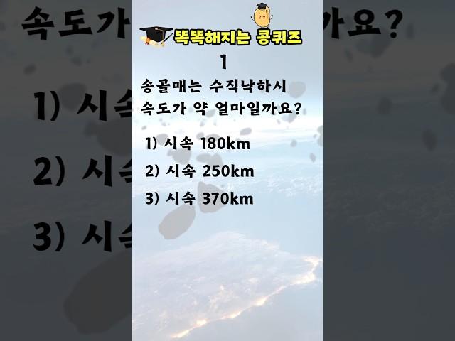 [상식퀴즈 - 29] 똑똑해지는 일반상식퀴즈 , 상식 키우기, 지식퀴즈