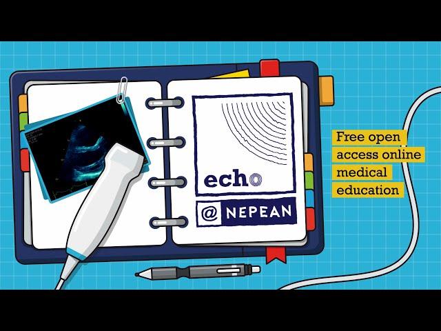 Echo in Pregnancy