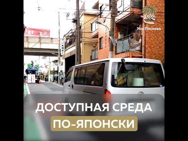 Доступная среда по японски