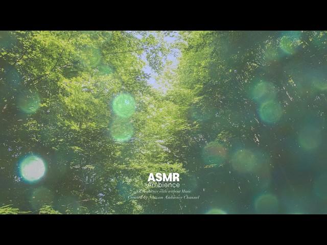 요구르트와 햇빛, 그리고 소독 /조용하고 다정한 아침 ASMR Ambience