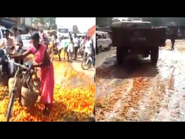 Watch | Angry farmers throw tonnes of tomatoes on roads