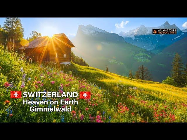 Gimmelwald Switzerland  Swiss Village Tour - Most Beautiful Villages in Switzerland 4k video walk