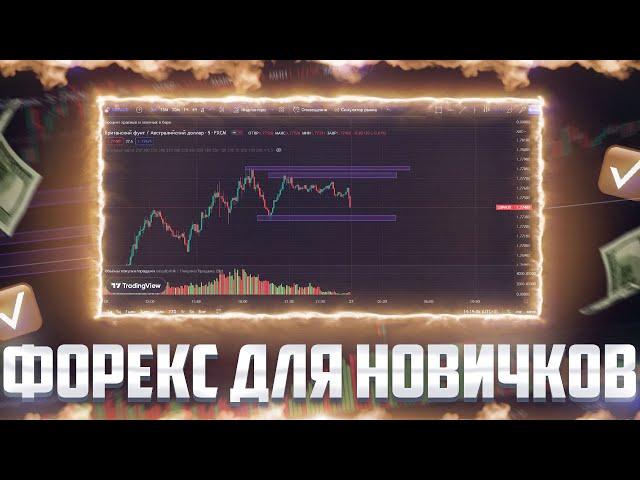 Форекс для начинающих: как начать зарабатывать на валютном рынке