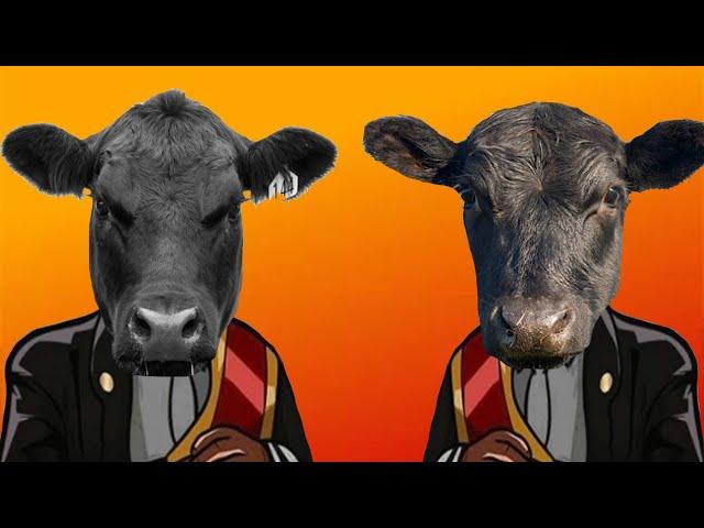 Funny Black Cow - Coffin Dance Meme ( COVER )