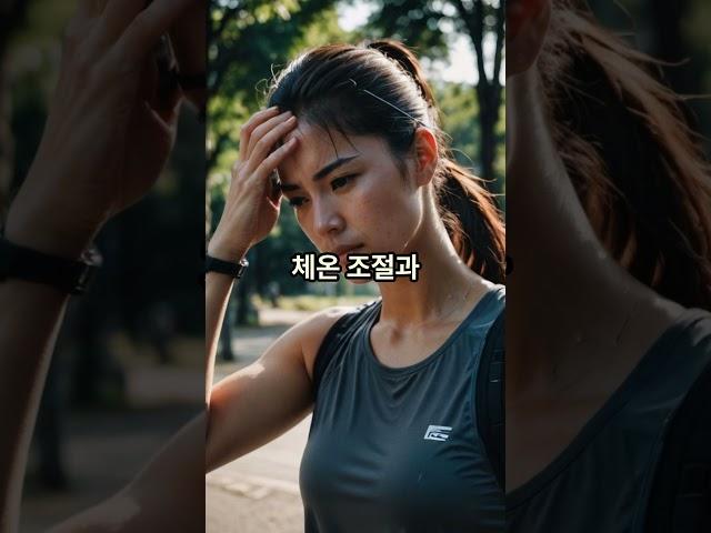 물을 언제 마셔야 가장 효과적일까? #건강한스푼 #물마시는법 #건강정보 #물습관 #수분보충 #헬스팁 #건강루틴 #언제물마실까 #유튜브쇼츠 #건강꿀팁