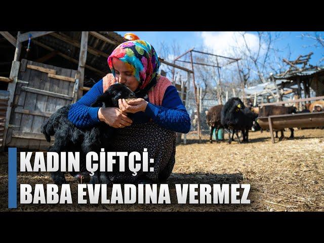 "Baba Evladına Vermez" Hayvancılık Desteği Aldı Köyünde Kaldı / AGRO TV HABER