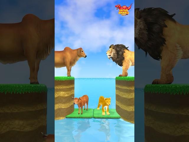 New Money vs Knowledge? With Cartoon Cow vs Lion What Do Choose? #Shorts #Cartoon #Viral #shortsfeed