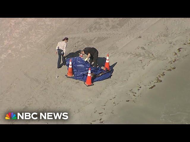 Human head washes ashore on Florida beach