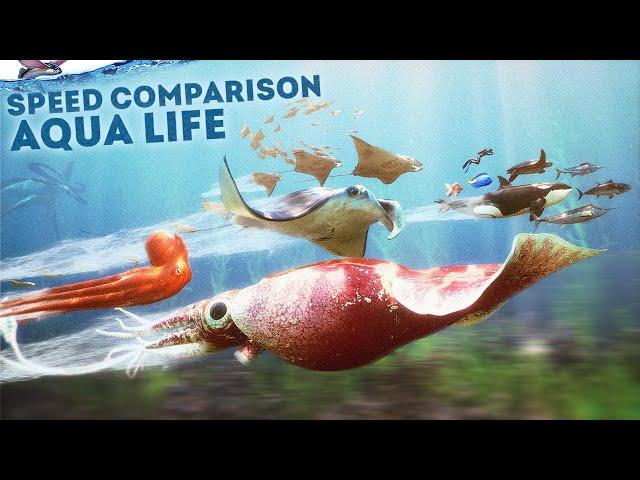 SPEED COMPARISON 3D | Aqua Life 