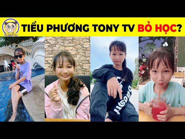 Khám Phá Tiểu Phương Tony TV Và Sự Thật Đằng Sau Kênh Youtube Triệu View Của Cô Nàng Lớp9 #youtuber