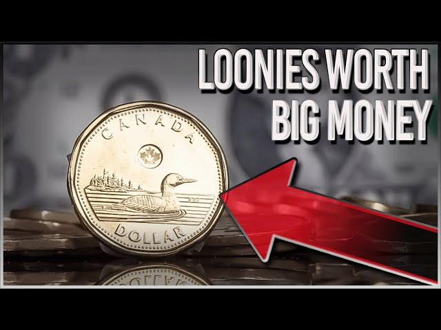 LOONIES WORTH BIG MONEY - RARE CANADIAN DOLLAR COINS IN YOUR POCKET CHANGE!!