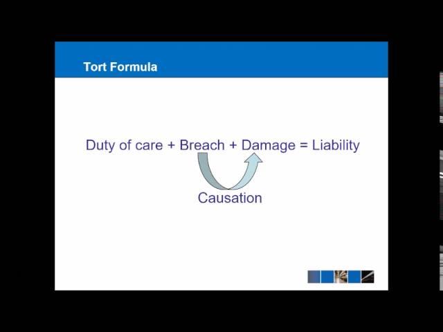 Introduction to Tort Law