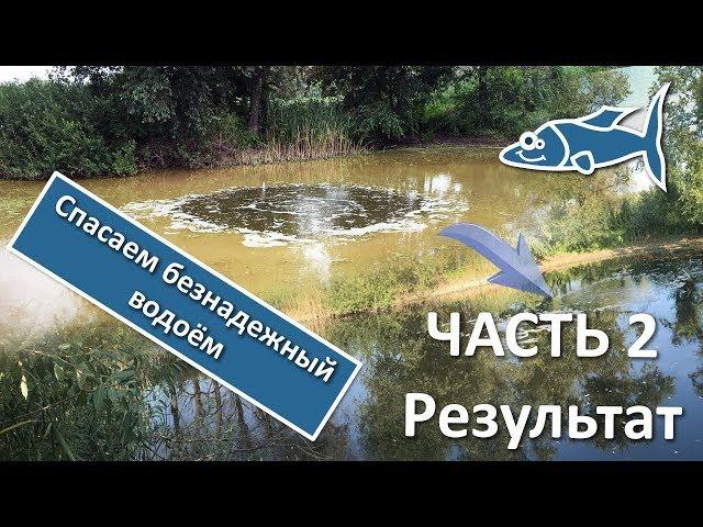 Как очистить пруд. Результат за 3 недели. ЧАСТЬ 2