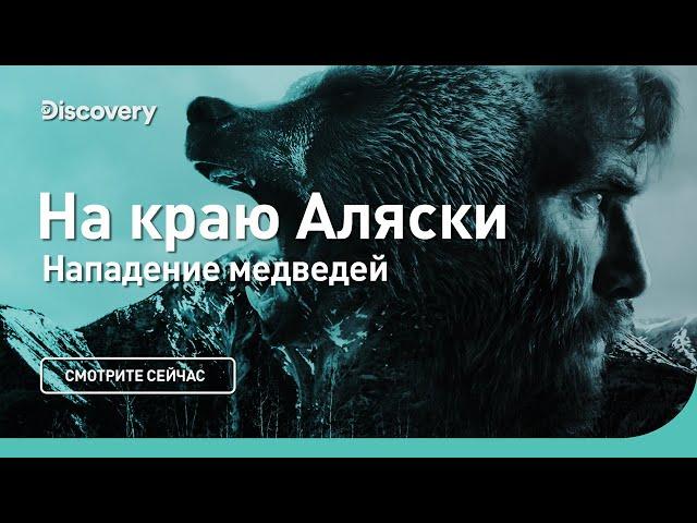 Нападение медведей | На краю Аляски | Discovery