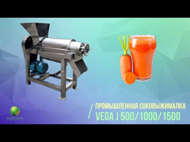 Промышленная соковыжималка (пресс) для отжима сока из овощей, фруктов и ягод Vega J 500