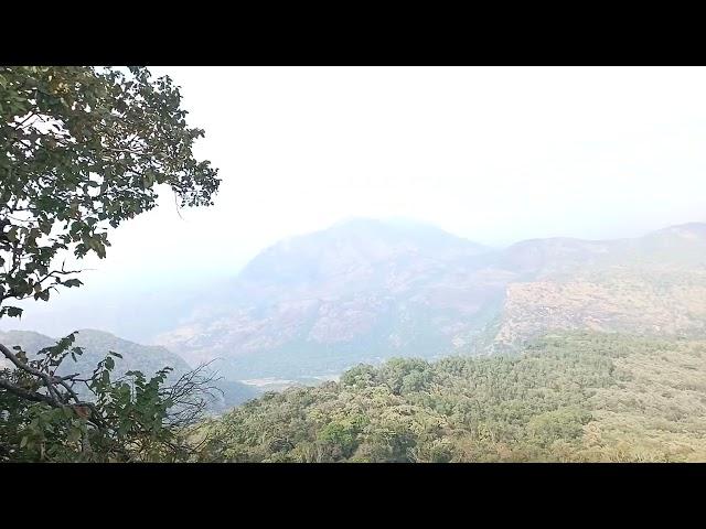 Forest and Road view | Valparai Pollachi road | #travel #nsdmedia #nature #youtube #valparai #hills