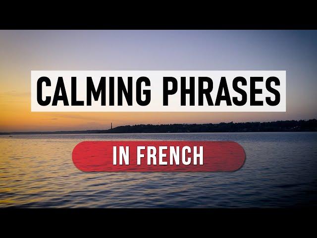 French for Beginners: Comforting French Phrases for Everyday Use