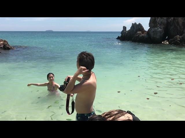 khai nok island fishes phuket thailandia