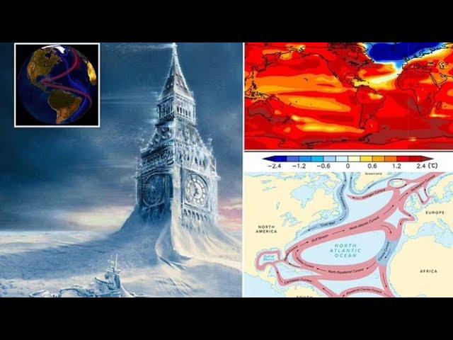 THE GULF STREAM IS COLLAPSING! UK FACES NEW ICE AGE!