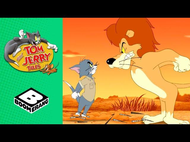 Tom & Jerry Go to Africa | Tom and Jerry Tales | Boomerang UK